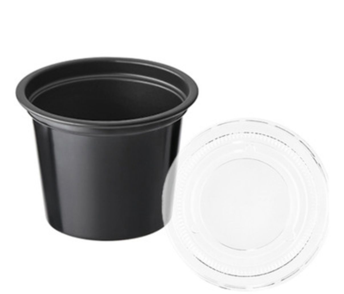 Salsero negro